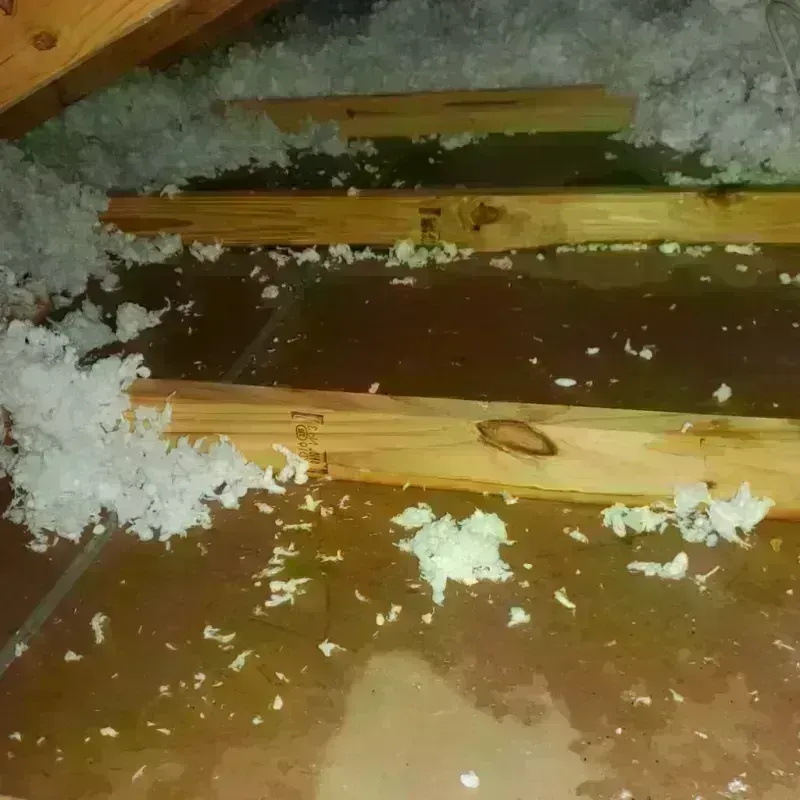 Attic Water Damage in Clever, MO