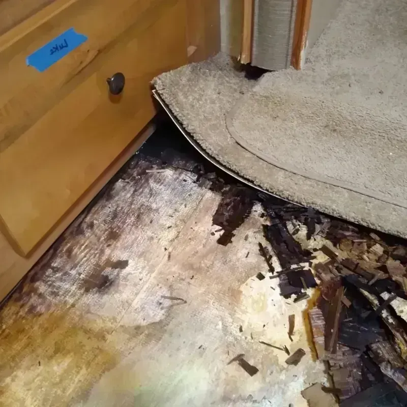 Wood Floor Water Damage in Clever, MO